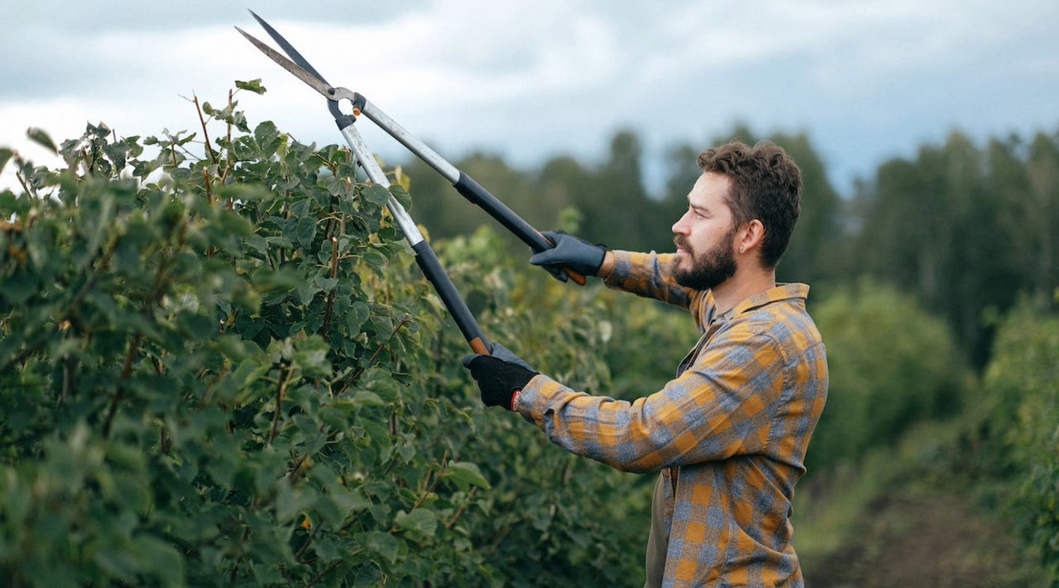 Breaking the Taboo: Why Talking About Manscaping Matters