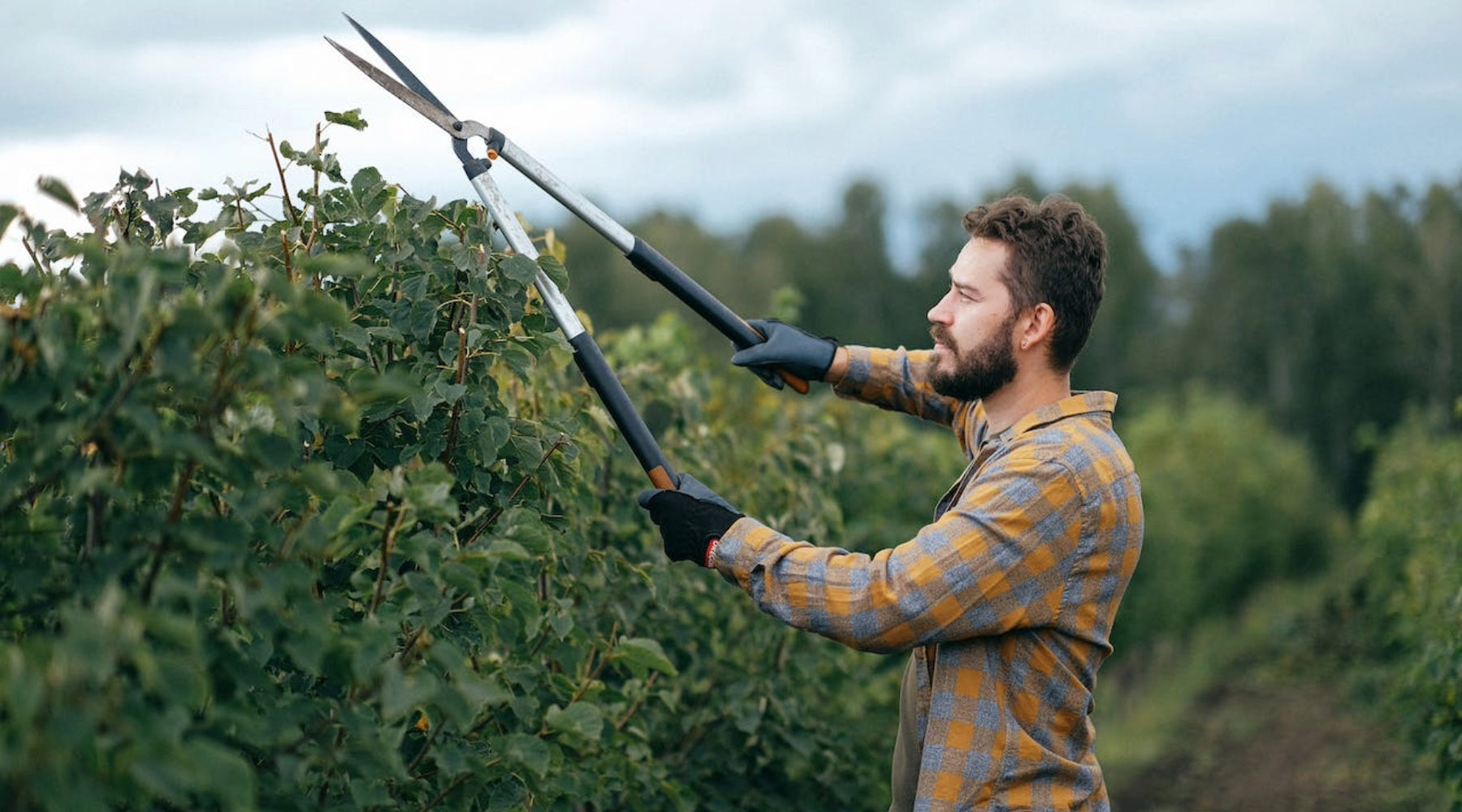 Breaking the Taboo: Why Talking About Manscaping Matters